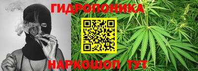 стафф Заволжье