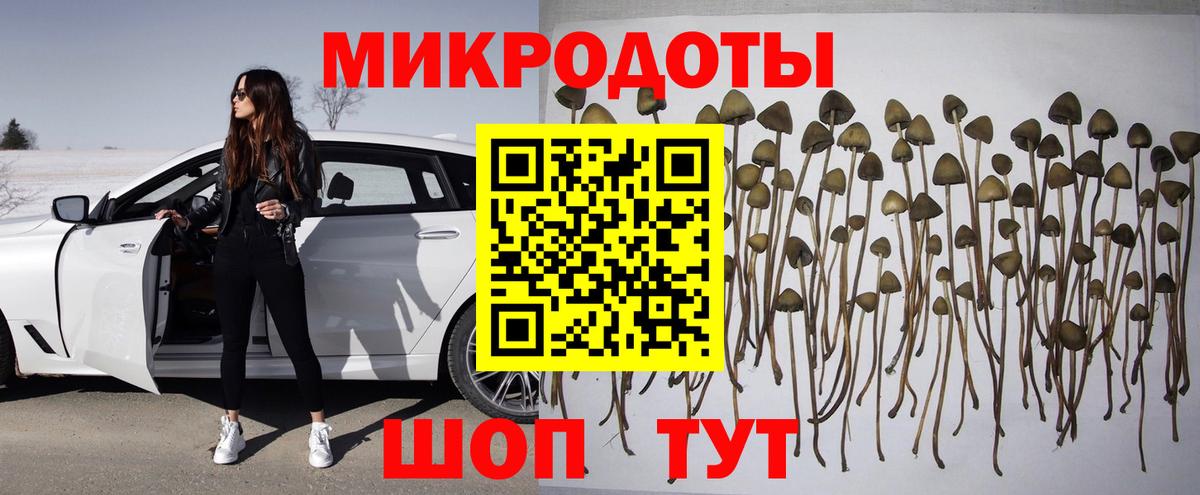 Галлюциногенные грибы Psilocybine cubensis Ярцево